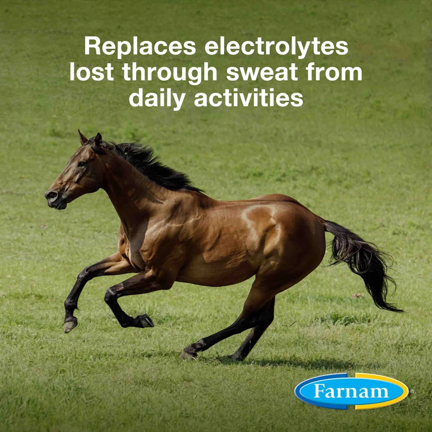 Farnam Apple Elite Electrolyte Granules Apple Flavor Horse Supplement, 20-lb Tub 2 Farnam Apple Elite Electrolyte Granules Apple Flavor Horse Supplement, 20-lb Tub - Image 2