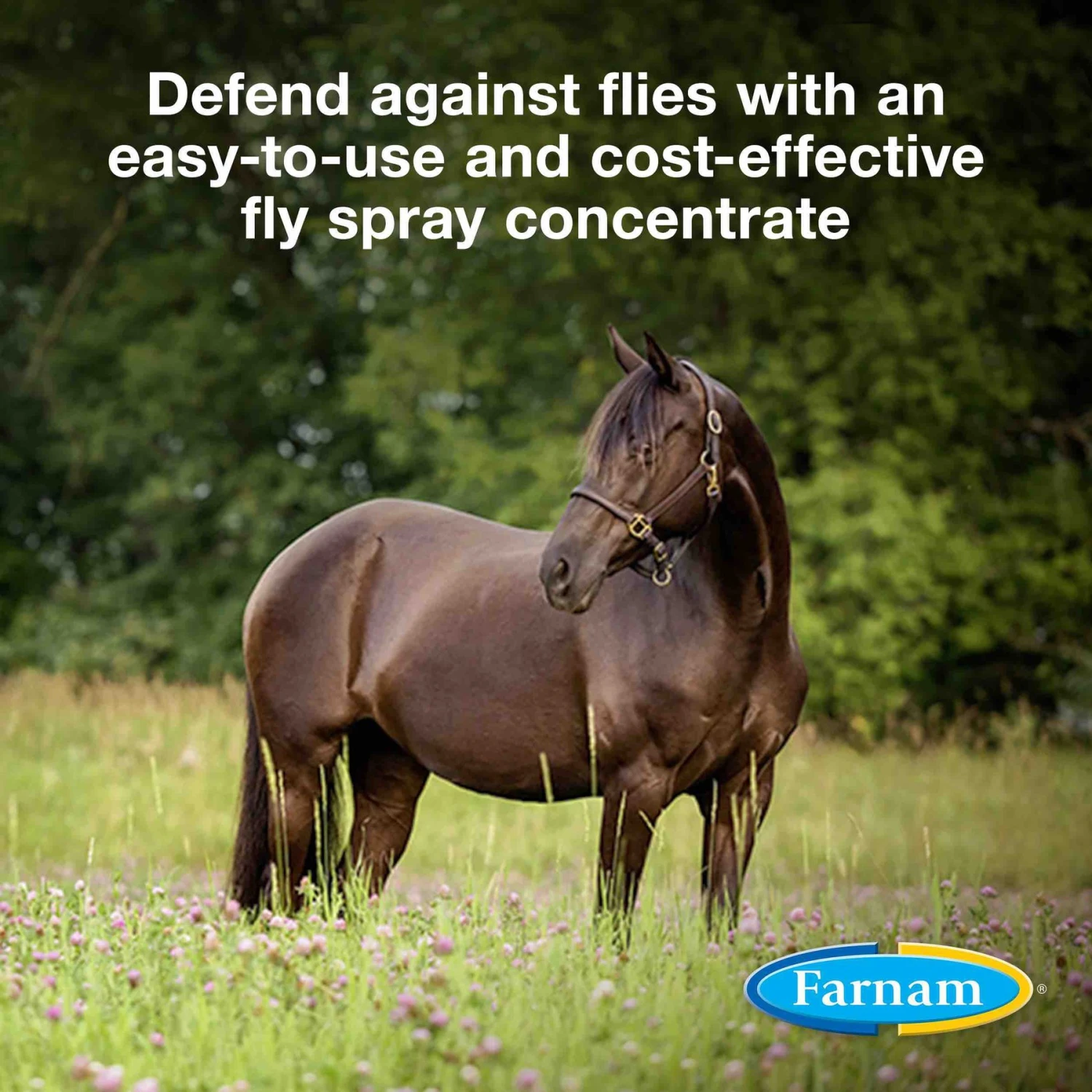 Farnam Repel-X Pe Emulsifiable Fly Repellent Horse Spray, 1-gal Jug 2 Farnam Repel-X Pe Emulsifiable Fly Repellent Horse Spray, 1-gal Jug - Image 2