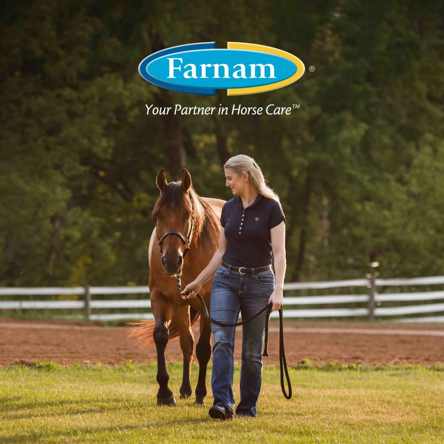 Farnam Repel-X Pe Emulsifiable Fly Repellent Horse Spray, 1-gal Jug 9 Farnam Repel-X Pe Emulsifiable Fly Repellent Horse Spray, 1-gal Jug - Image 9