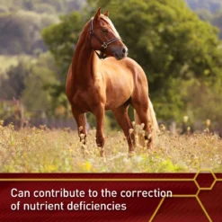 Vita Flex Pro E & Selenium Vitamin E Powder Horse Supplement, 4-lb Bucket -Weaver Leather || Finish Line || Cavalor Shop 236252 PT2. AC SS1800 V1644976918