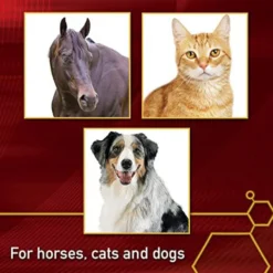 Vita Flex Pro MSM Ultra Pure Joint Support Powder Dog, Cat & Horse Supplement, 10-lb Bucket 10 Vita Flex Pro MSM Ultra Pure Joint Support Powder Dog, Cat & Horse Supplement, 10-lb Bucket -Weaver Leather || Finish Line || Cavalor Shop 236258 PT4. AC SS1800 V1659969151