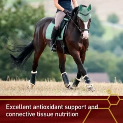 Vita Flex Pro Pure C Premium Vitamin C Powder Horse Supplement, 2-lb Jar -Weaver Leather || Finish Line || Cavalor Shop 236260 PT3. AC SS1800 V1659968910