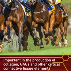 Vita Flex Pro Pure C Premium Vitamin C Powder Horse Supplement, 2-lb Jar -Weaver Leather || Finish Line || Cavalor Shop 236260 PT4. AC SS1800 V1659969210