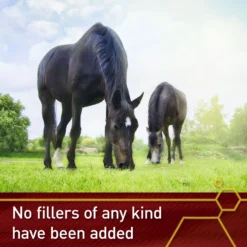 Vita Flex Pro Pure C Premium Vitamin C Powder Horse Supplement, 2-lb Jar -Weaver Leather || Finish Line || Cavalor Shop 236260 PT5. AC SS1800 V1659969086