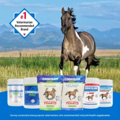 Nutramax Cosequin Pellets With Glucosamine & Chondroitin ASU Joint Health Supplement For Horses, 1420 Grams -Weaver Leather || Finish Line || Cavalor Shop 237857 PT3. AC SS1800 V1612564397