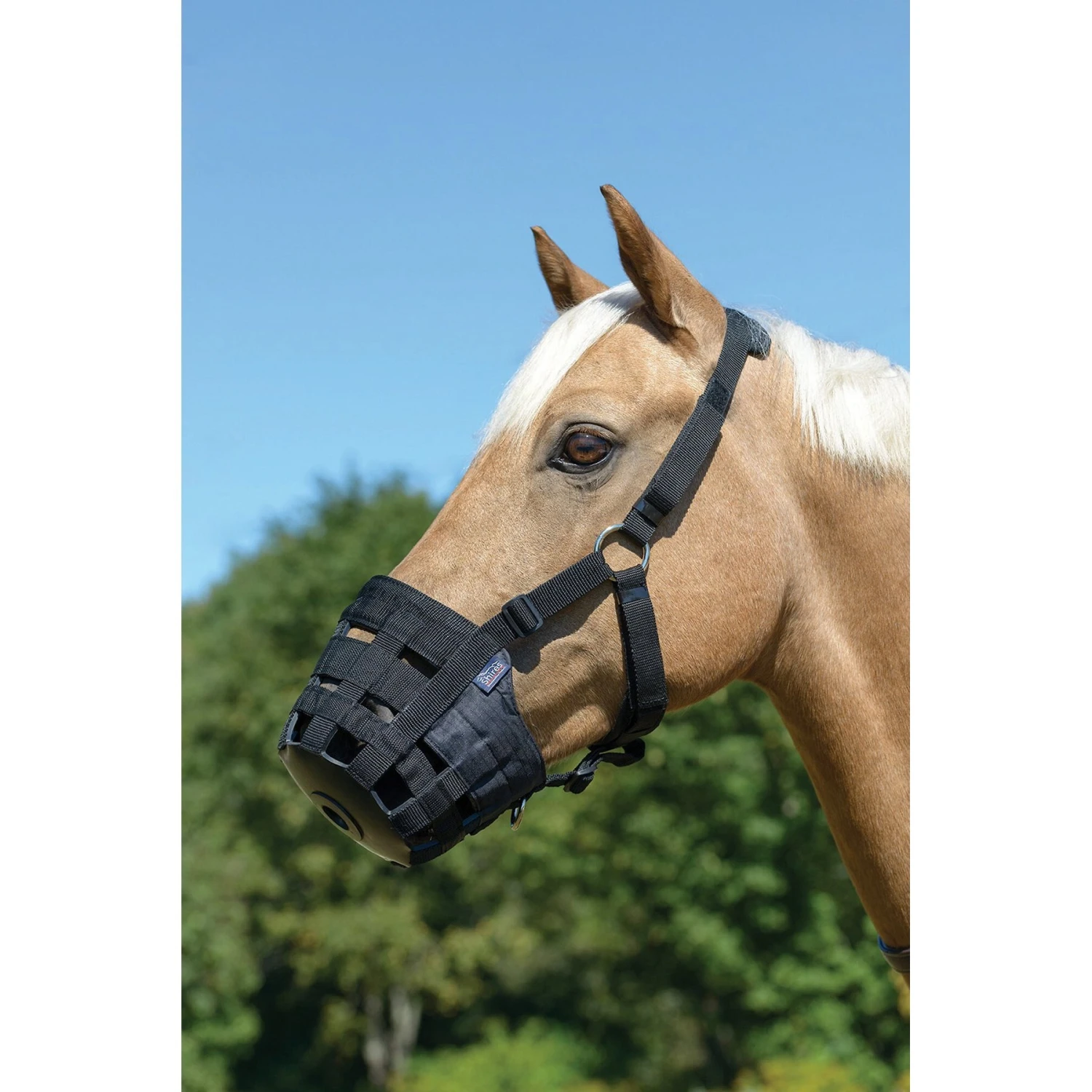 Shires Equestrian Products Comfort Horse Grazing Muzzle, Black 1 Shires Equestrian Products Comfort Horse Grazing Muzzle, Black