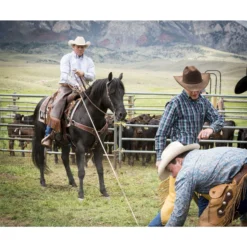 Weaver Leather Working Tack Roper Horse Breast Collar -Weaver Leather || Finish Line || Cavalor Shop 240043 PT2. AC SS1800 V1682103815