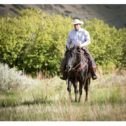 Weaver Leather Working Tack Roper Horse Breast Collar -Weaver Leather || Finish Line || Cavalor Shop 240043 PT4. AC SS1800 V1681933165