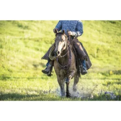 Weaver Leather Working Tack Pulling Horse Breast Collar -Weaver Leather || Finish Line || Cavalor Shop 240053 PT2. AC SS1800 V1682112399