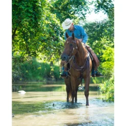 Weaver Leather Working Tack Pulling Horse Breast Collar -Weaver Leather || Finish Line || Cavalor Shop 240053 PT4. AC SS1800 V1681996236