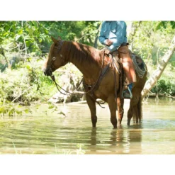 Weaver Leather Working Tack Pulling Horse Breast Collar -Weaver Leather || Finish Line || Cavalor Shop 240053 PT6. AC SS1800 V1682112369