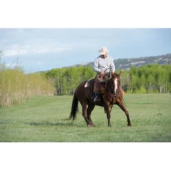 Weaver Leather Working Tack Pulling Horse Breast Collar -Weaver Leather || Finish Line || Cavalor Shop 240053 PT7. AC SS1800 V1681996019