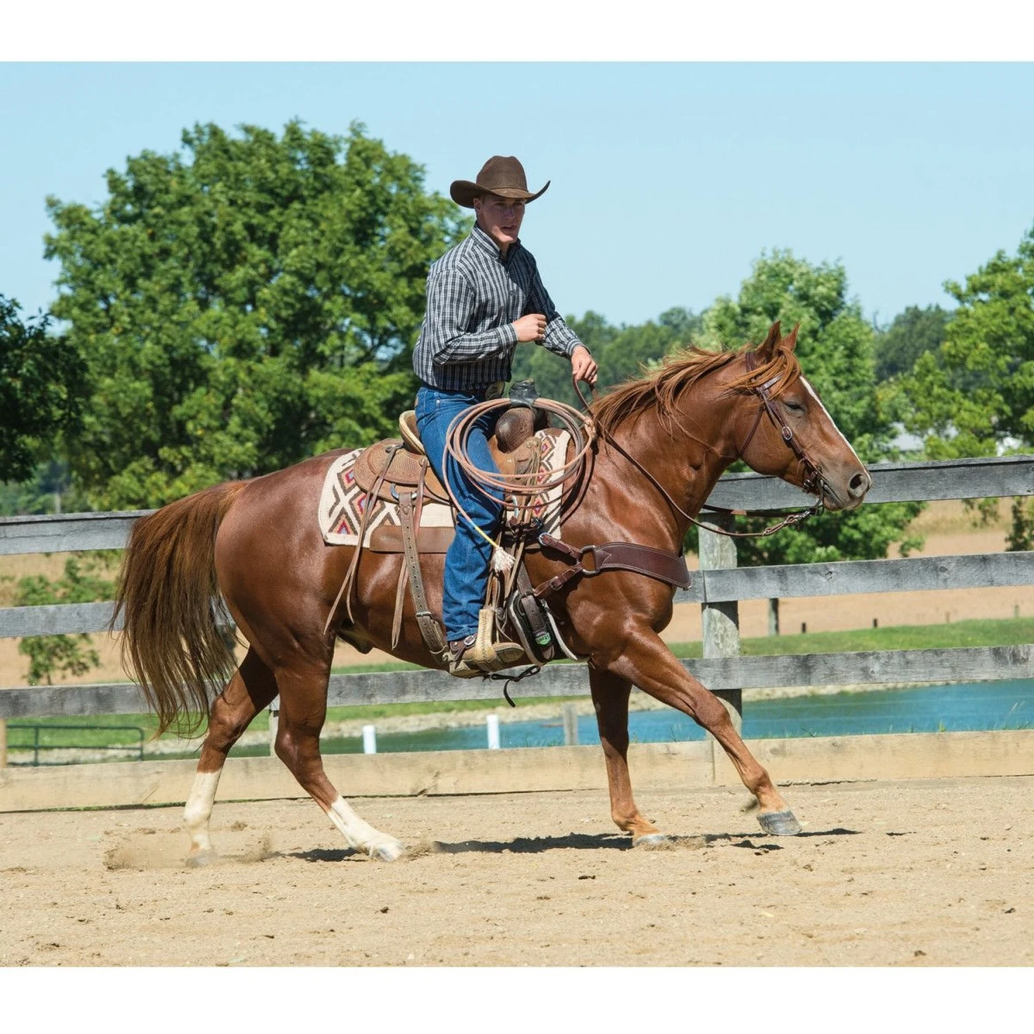 Weaver Leather Working Tack Horse Bridle & Snaffle Mouth Bit 2 Weaver Leather Working Tack Horse Bridle & Snaffle Mouth Bit - Image 2