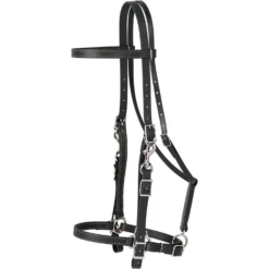 Weaver Leather Brahma Webb Horse Halter Bridle