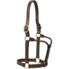 Weaver Leather Thoroughbred Horse Halter