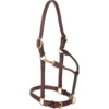 Weaver Leather Double Buckle Crown Horse Halter