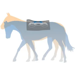 Weaver Leather Synergy Natural Fit Horse Saddle Pad -Weaver Leather || Finish Line || Cavalor Shop 240121 PT8. AC SS1800 V1682100937