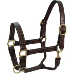 Derby Originals Coventry Triple Stitch Adjustable Leather Horse Halter, Dark Brown