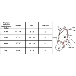 Derby Originals Coventry Triple Stitch Adjustable Leather Horse Halter, Dark Brown -Weaver Leather || Finish Line || Cavalor Shop 240431 PT3. AC SS1800 V1598556694