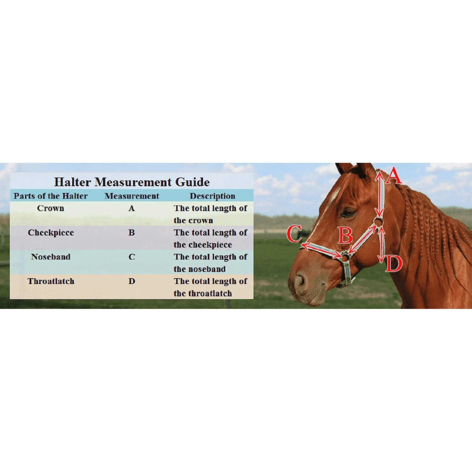 Derby Originals Patriotic Nylon Horse Halter 2 Derby Originals Patriotic Nylon Horse Halter - Image 2