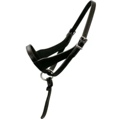 Paris Tack Double Layered Leather Adjustable Horse Foal Halter & Extra Crown