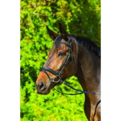 Shires Equestrian Products Avignon Aspen Horse Bridle