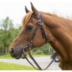 Tahoe Tack Double Layered Nylon Western Horse Headstall & Reins, Full -Weaver Leather || Finish Line || Cavalor Shop 245011 PT2. AC SS1800 V1609285976