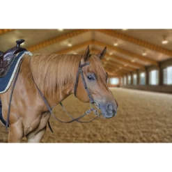 Tahoe Tack Double Layered Nylon Western Horse Headstall & Reins, Full -Weaver Leather || Finish Line || Cavalor Shop 245011 PT3. AC SS1800 V1609284464