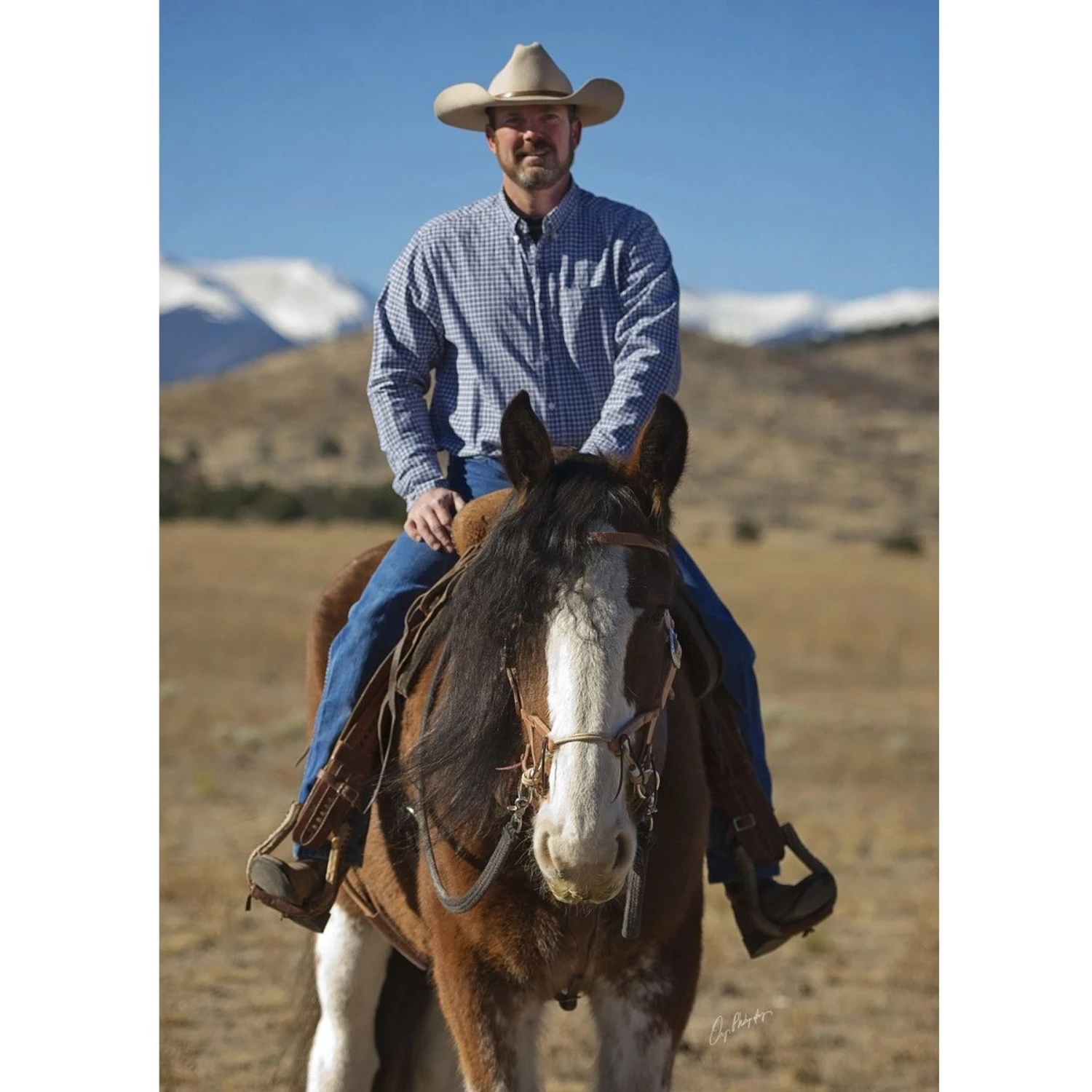 Weaver Leather Justin Dunn Draft Bitless Horse Bridle 2 Weaver Leather Justin Dunn Draft Bitless Horse Bridle - Image 2