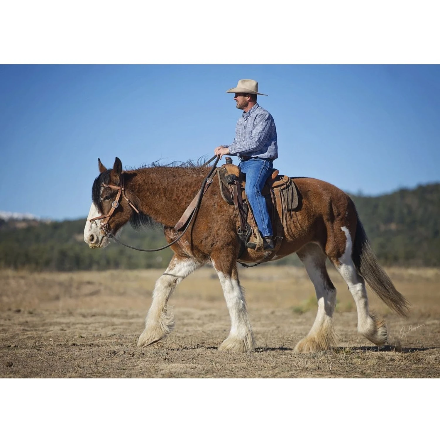 Weaver Leather Justin Dunn Draft Bitless Horse Bridle 3 Weaver Leather Justin Dunn Draft Bitless Horse Bridle - Image 3