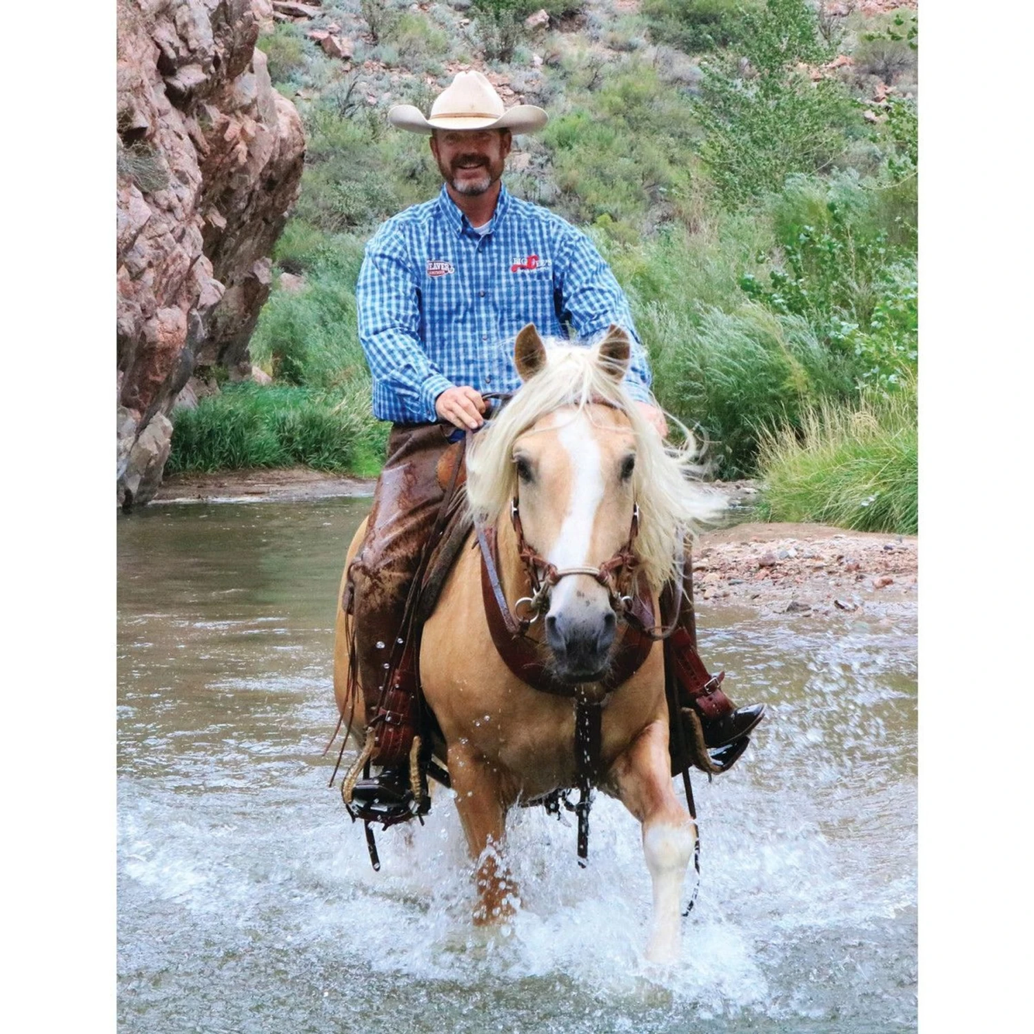 Weaver Leather Justin Dunn Bitless Horse Bridle 2 Weaver Leather Justin Dunn Bitless Horse Bridle - Image 2