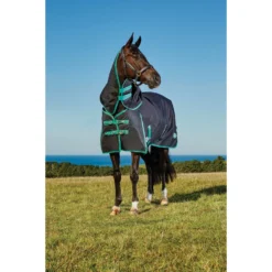 WeatherBeeta Green-Tec 900D Detach-A-Neck Medium Horse Blanket