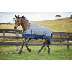Saxon 210D With Gusset Standard Neck Lite II Horse Blanket