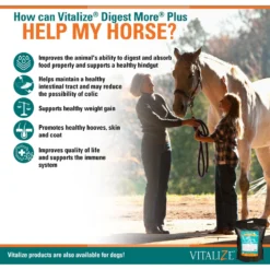 Vitalize Digest More Plus Pellets Horse Supplement, 10-lb Bag -Weaver Leather || Finish Line || Cavalor Shop 251346 PT2. AC SS1800 V1659634945