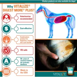 Vitalize Digest More Plus Pellets Horse Supplement, 10-lb Bag -Weaver Leather || Finish Line || Cavalor Shop 251346 PT3. AC SS1800 V1659634943