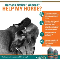 Vitalize Alimend 24/7 Equine Stomach Comfort Liquid Horse Supplement 8 Vitalize Alimend 24/7 Equine Stomach Comfort Liquid Horse Supplement -Weaver Leather || Finish Line || Cavalor Shop 251348 PT3. AC SS1800 V1659634822
