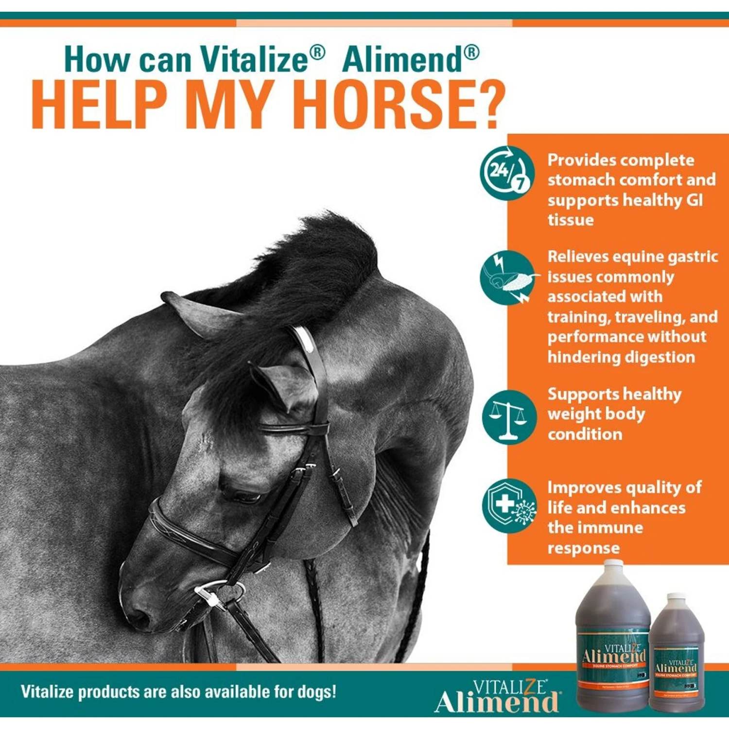 Vitalize Alimend 24/7 Equine Stomach Comfort Liquid Horse Supplement 4 Vitalize Alimend 24/7 Equine Stomach Comfort Liquid Horse Supplement - Image 4
