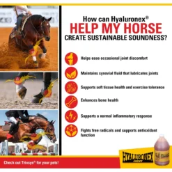 Hyaluronex Joint Support Liquid Horse Supplement -Weaver Leather || Finish Line || Cavalor Shop 251351 PT3. AC SS1800 V1659634764