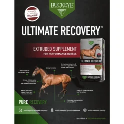 Buckeye Nutrition Ultimate Recovery Extruded Performance Pellets Horse Supplement, 30-lb Bag 7 Buckeye Nutrition Ultimate Recovery Extruded Performance Pellets Horse Supplement, 30-lb Bag -Weaver Leather || Finish Line || Cavalor Shop 252629 PT3. AC SS1800 V1671030333