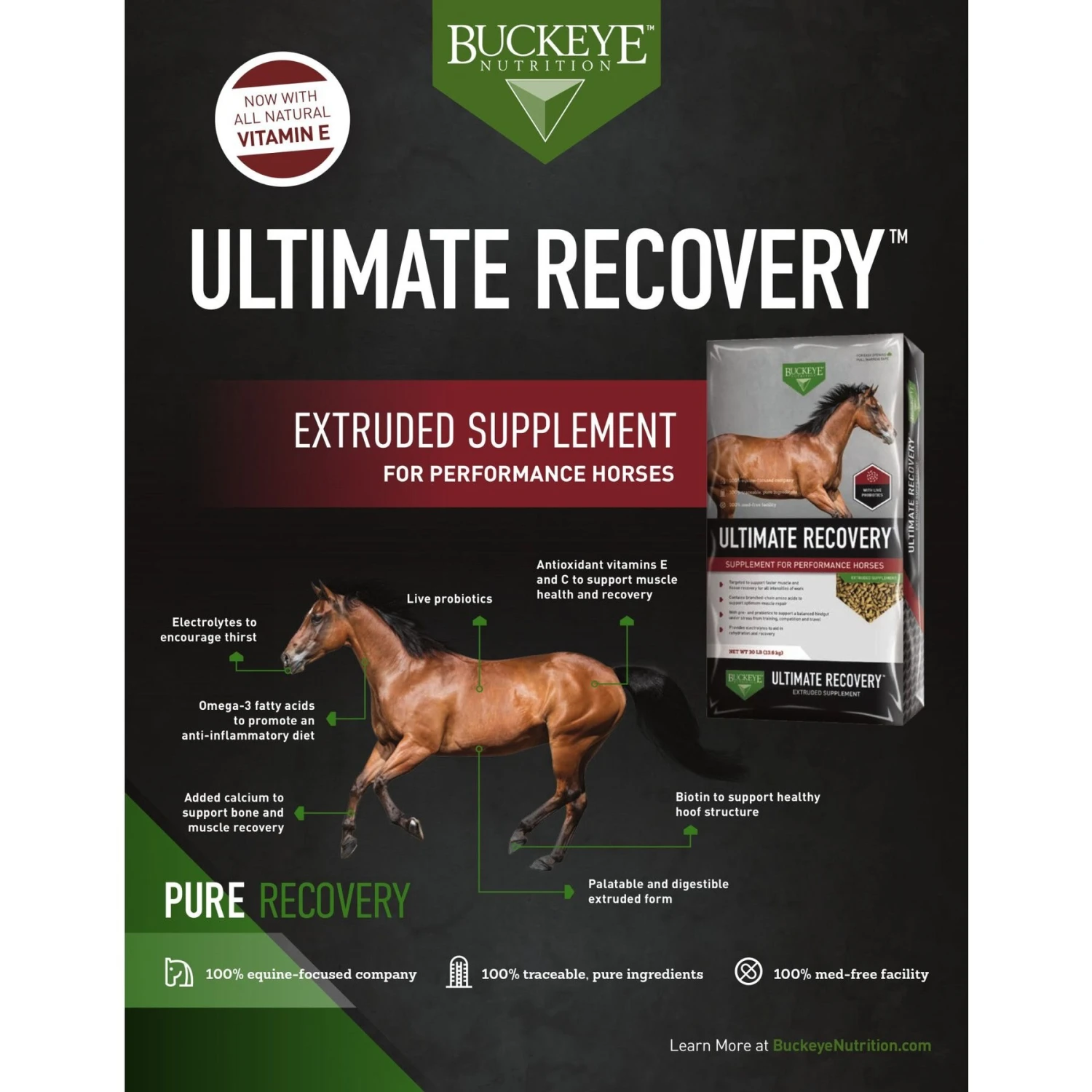 Buckeye Nutrition Ultimate Recovery Extruded Performance Pellets Horse Supplement, 30-lb Bag 4 Buckeye Nutrition Ultimate Recovery Extruded Performance Pellets Horse Supplement, 30-lb Bag - Image 4