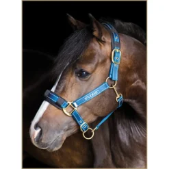 Stübben Reflective Horse Stable Halter, Blue