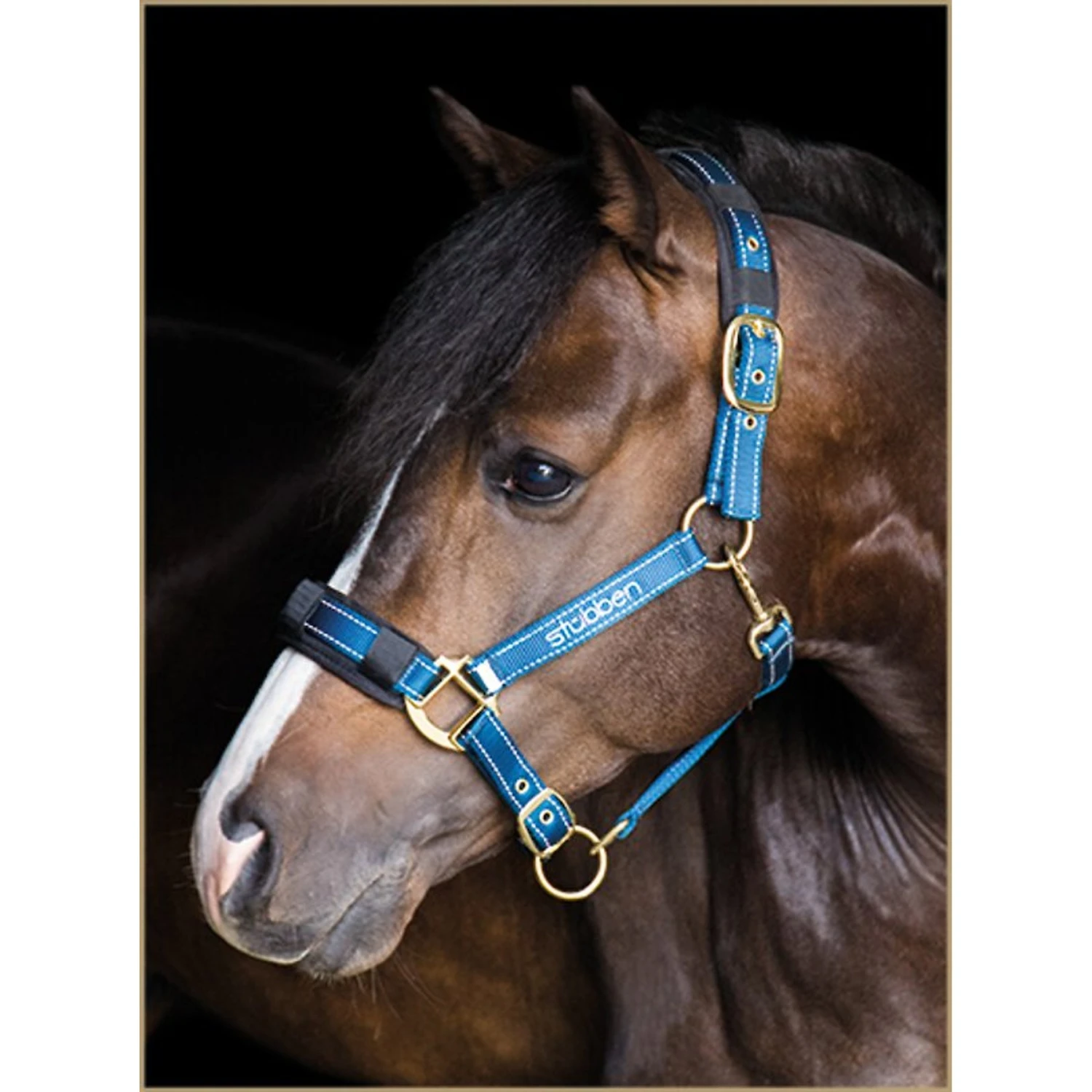 Stübben Reflective Horse Stable Halter, Blue 1 Stübben Reflective Horse Stable Halter, Blue