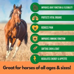 RestoraPet Equine Formula Apple-Carrot Flavor Horse Supplement, 8-oz Bottle -Weaver Leather || Finish Line || Cavalor Shop 259496 PT4. AC SS1800 V1606182720