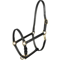 Horze Equestrian Fremont Leather Horse Halter