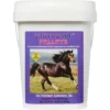 Cox Vet Lab Gastroade Pellets Horse Supplement