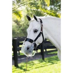 ThinLine Grazing Horse Muzzle