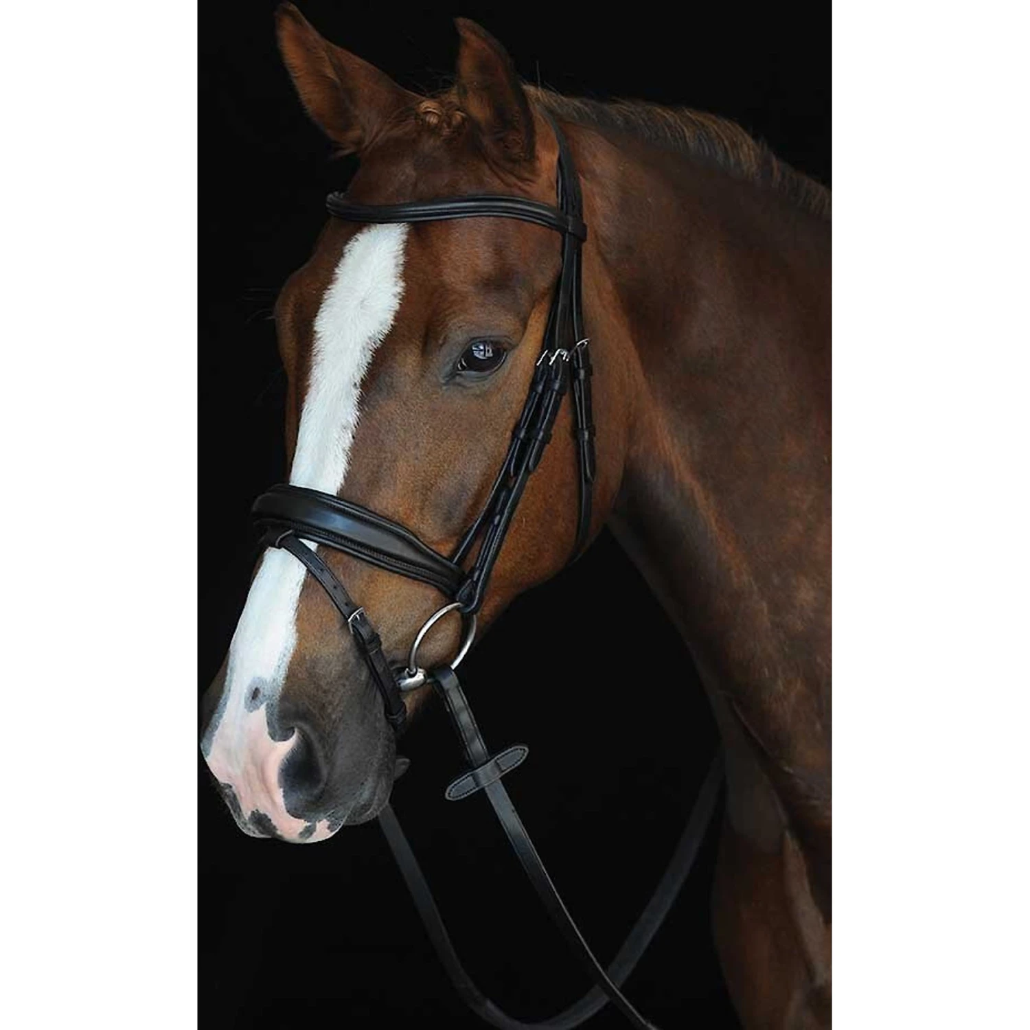Collegiate Mono Crown Padded Raised Flash Horse Bridle 1 Collegiate Mono Crown Padded Raised Flash Horse Bridle