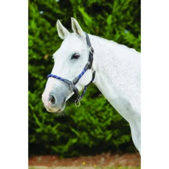 Kincade Leather Rope Horse Headcollar