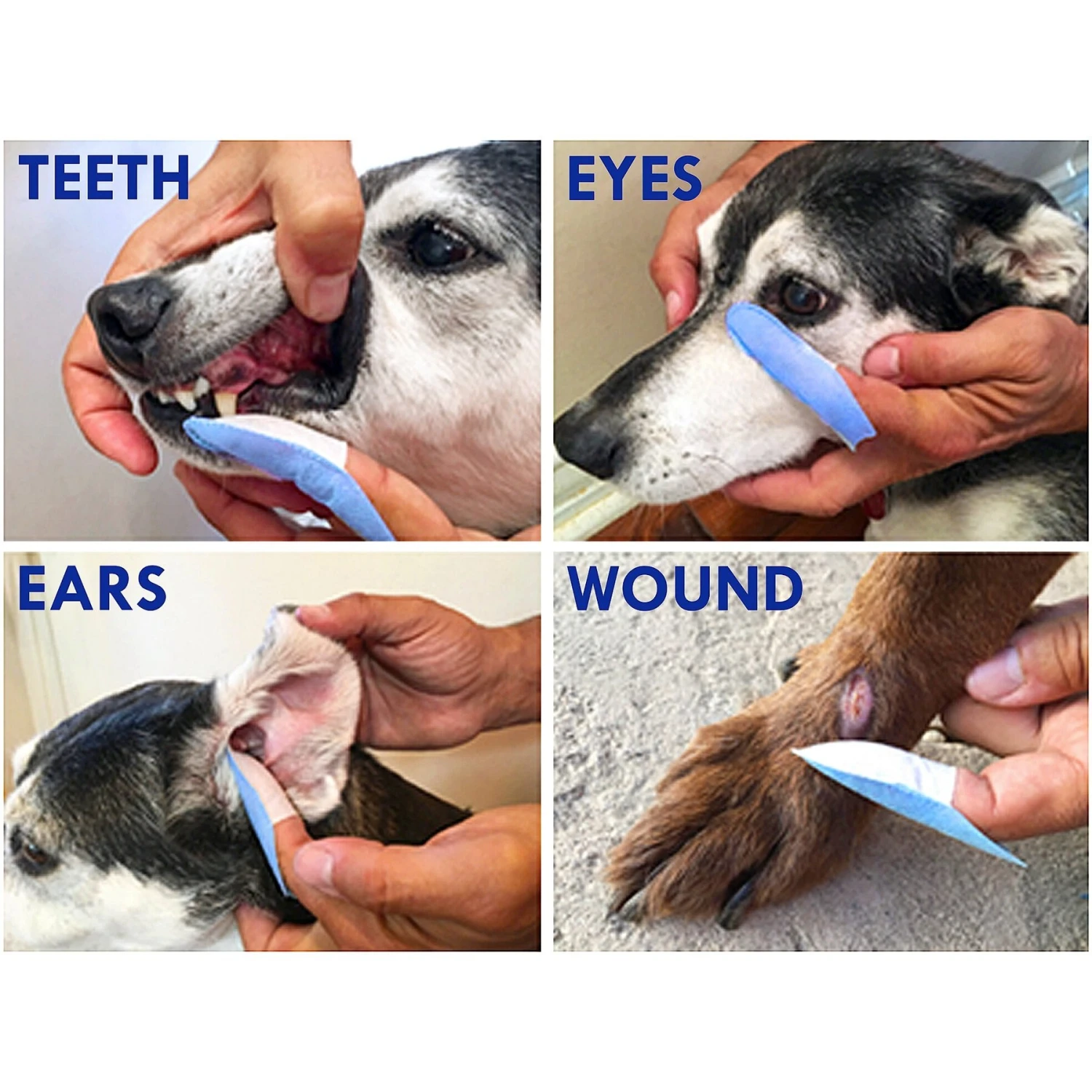 Aloha Pet Finger Mitt Pet Grooming Tool 5 Aloha Pet Finger Mitt Pet Grooming Tool - Image 5