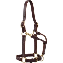 Weaver Leather Oiled Canyon Rose Track Horse Halter